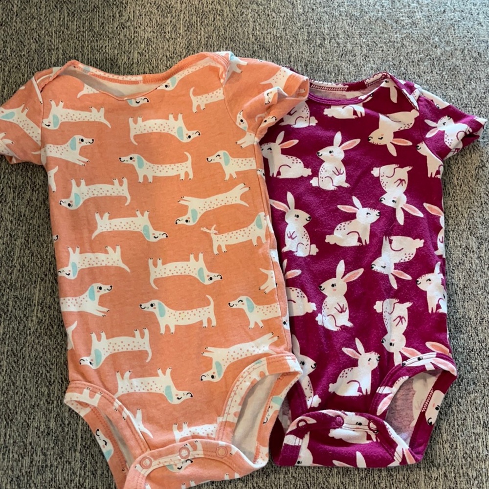 2 Carter’s bunny and dog onesies.